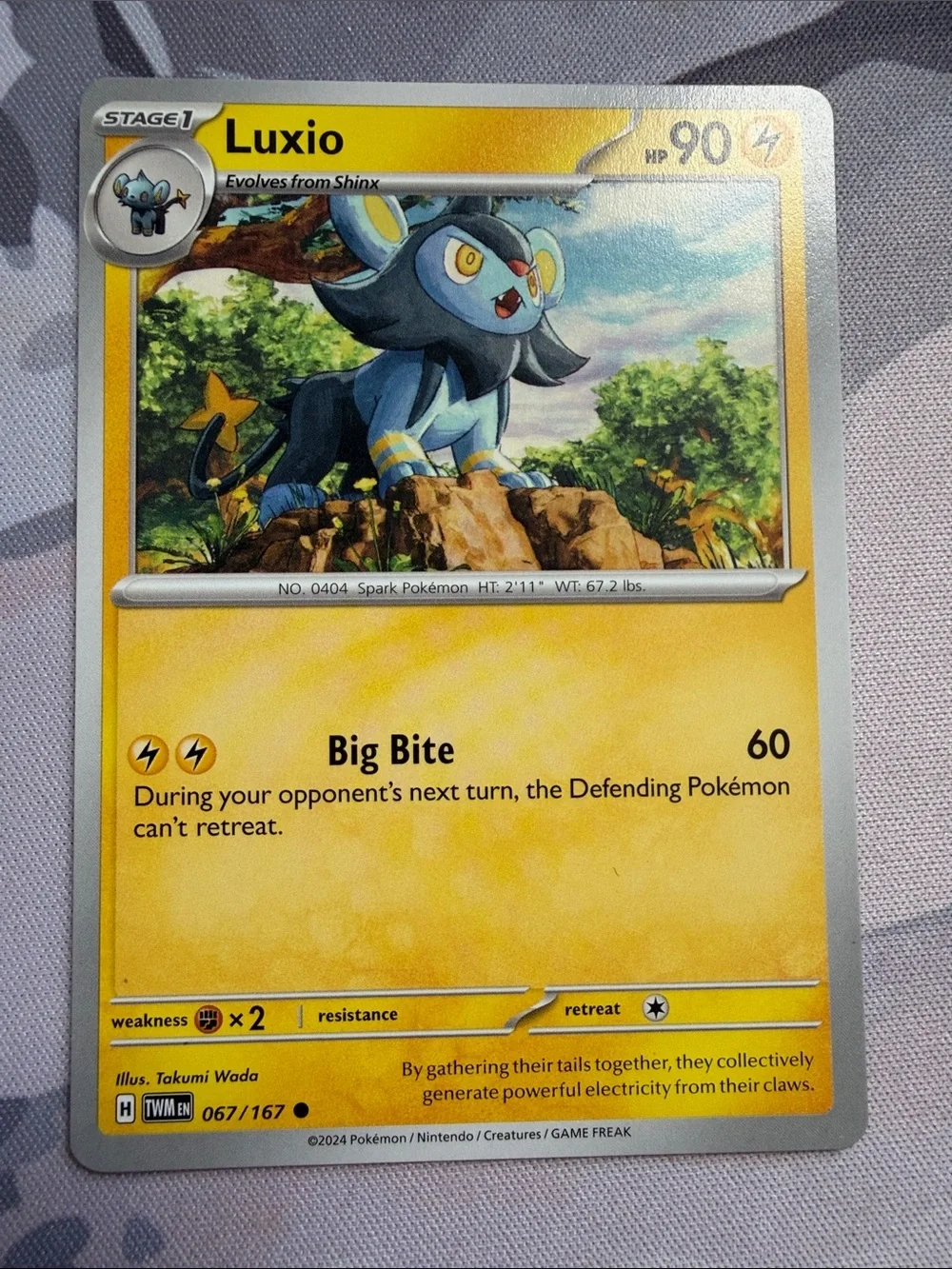 Shinx & Luxio Collection Lot | 6 Pokémon Cards | ✨5/$25✨
